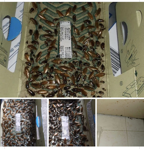 Photo of Ponders end kebab - 70 High St, Ponders End, Enfield EN3 4ER